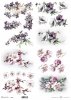 wiosenne kwiaty, kwiaty owocowe, fiołki, mak wschodni*spring flowers, fruit flowers, violets, eastern poppies*Frühlingsblumen, Obstblumen, Veilchen, Klatschmohn*flores de primavera, flores frutales, violetas, amapolas orientales